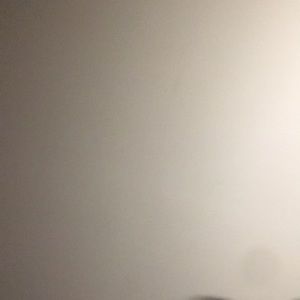 Meet your Posher, Landon